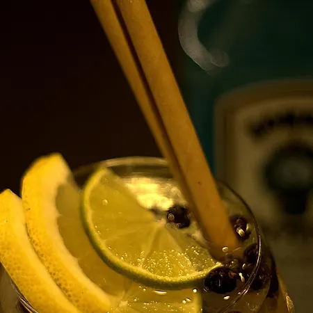 酒店 西瓦依12号酒店